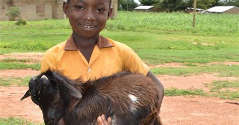 buy a goat for a family|Buy a Goat for Charity .